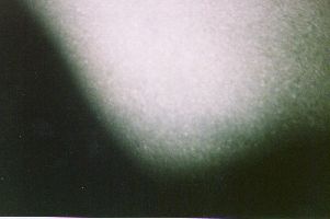 Foto Biel 2000 Nacht